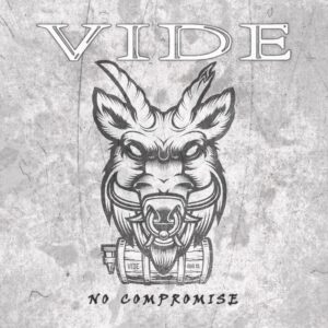 VIDE - Recording, Mix & Master